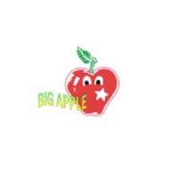 BIG APPLE CHILD CARE AND DEVELOPMENT CENTRE