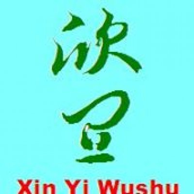 Xin Yi Wushu Academy