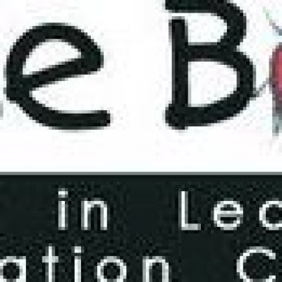 Mile Bug Excel In Learning Education Centre