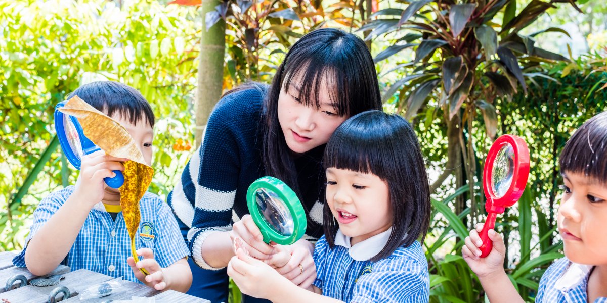 Celebrating Learning Vision's 30th Anniversary! - Learning Vision ...