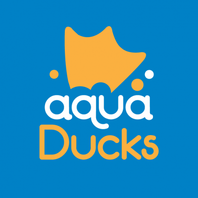 Aqua Ducks