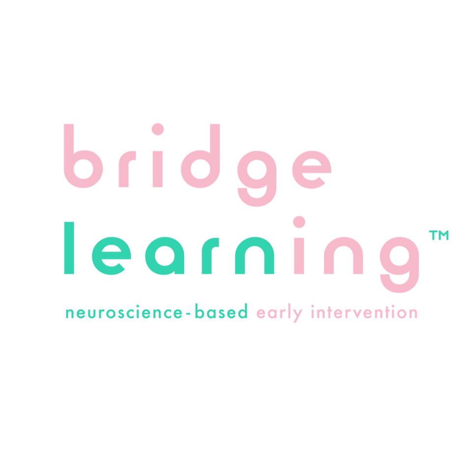 Bridge Learning