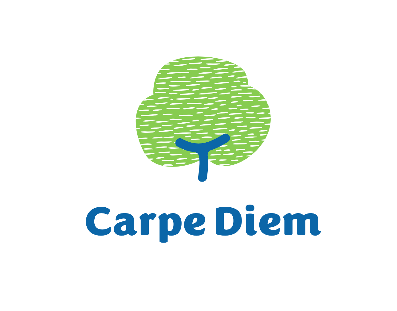 Carpe Diem Childcare Parkway