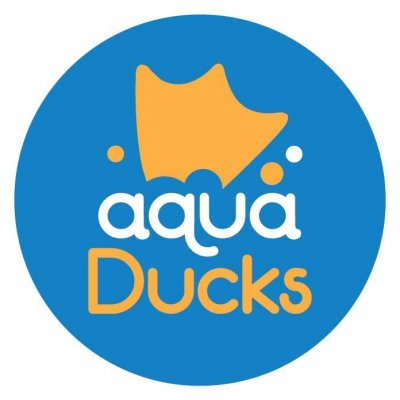 Aqua Ducks