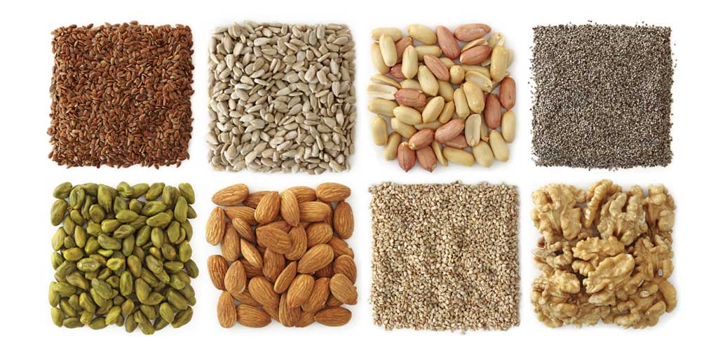 Skoolopedia-Brain-Foods-Nuts-and-Seeds