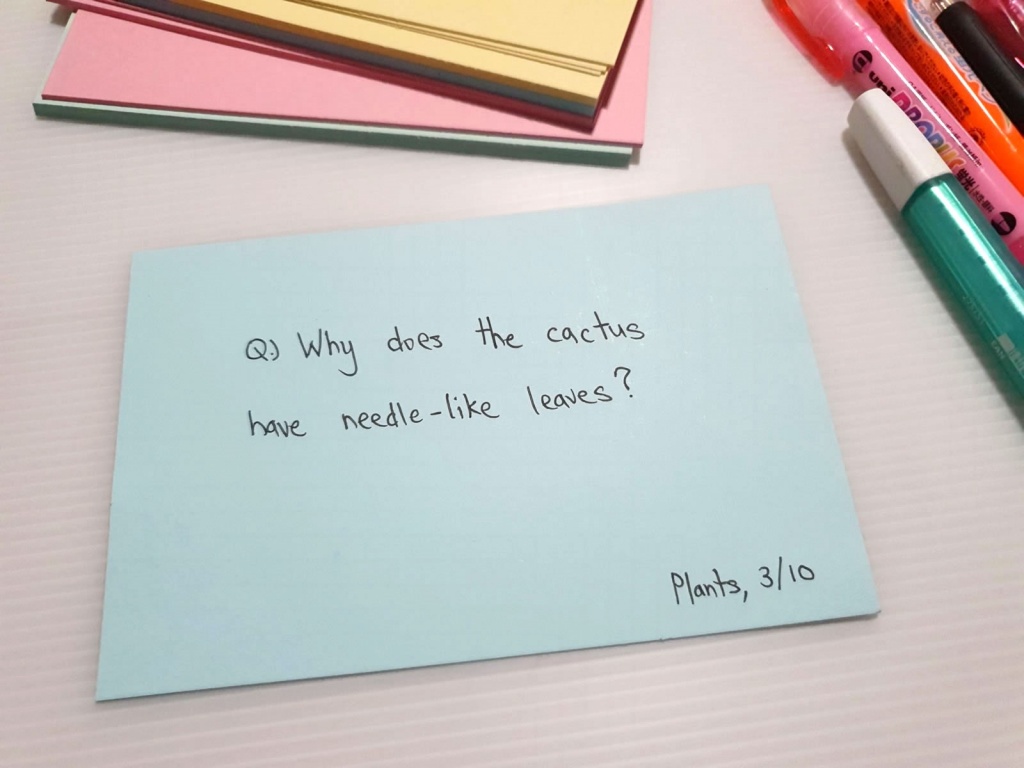 How to Make Your Own Flashcards Skoolopedia