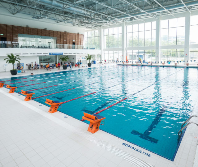 Olympic pool in Singapore with lanes, families, tropical plants, bright teal water.